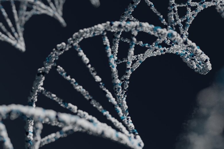 ASDとADHDが併発する背景