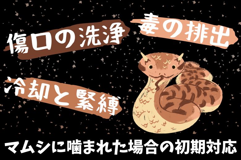 マムシに噛まれた場合の初期対応