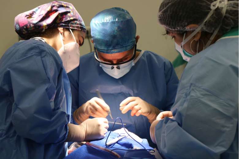 外科的治療と看護師の役割