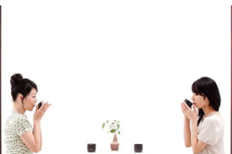 向かい合ってまねる画像