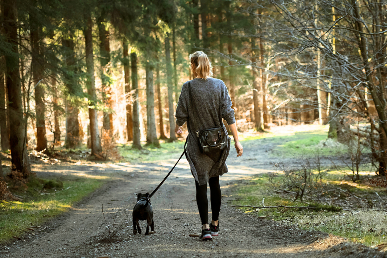 3. 日中に体を動かす