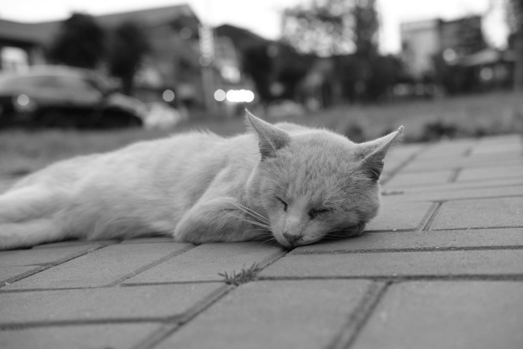 トラゾドンのデメリット・副作用