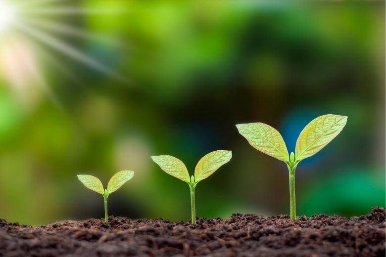 自己愛性パーソナリティ障害（自己愛性人格障害）の原因とは？