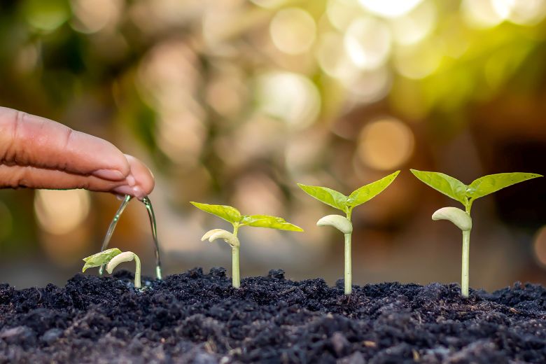 発達障害における“個性”を生かすということ