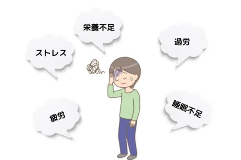 「何もしたくない」その背景と影響
