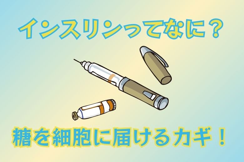 １．糖尿病とは？インスリンの役割
