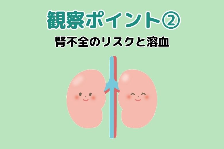 観察ポイント2：腎不全のリスクと溶血