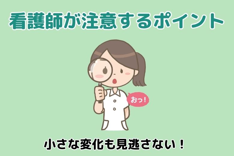 看護師の役割と実践ポイント