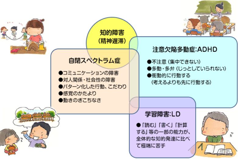 発達障害とは、先天的に脳の機能に偏りがあることで、社会生活に困難を抱えやすい障害の総称です。主に次の3つに分類されます。