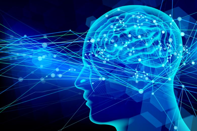 原因とメカニズム：ストレスと脳の関係