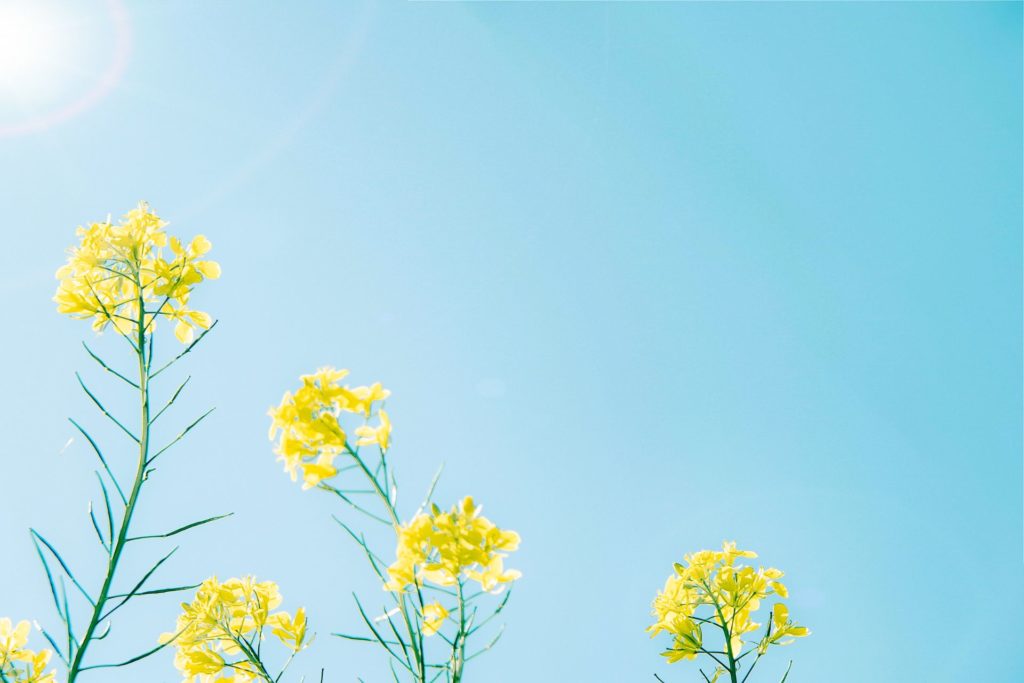 まとめ「適応障害は「見えにくいしんどさ」に向き合う病気」