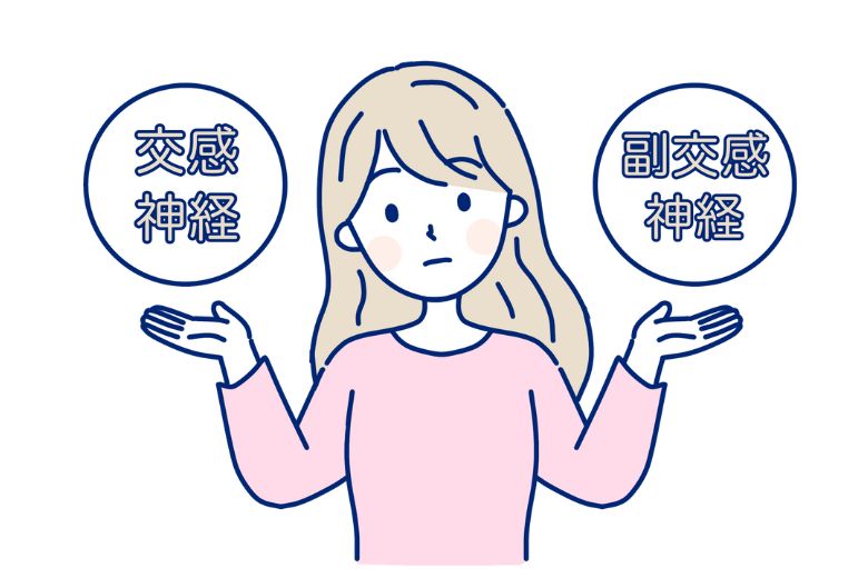 自律神経とは何か？その働きとバランスの重要性