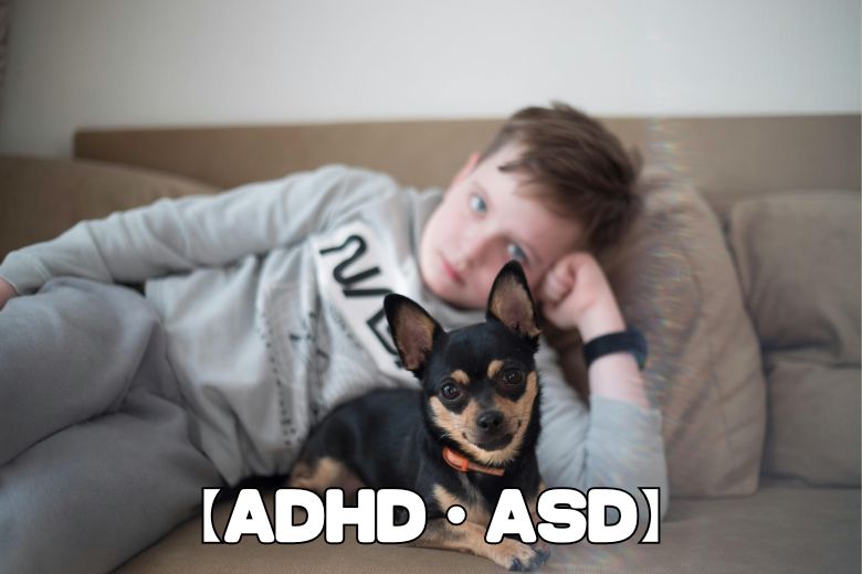 飽きっぽさ（特にADHD）
