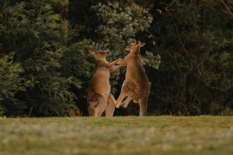 ASDの話し方とは