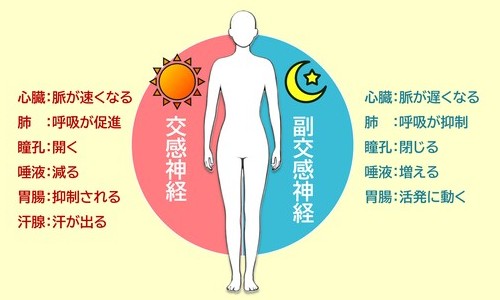 自律神経失調症と治療の方向性