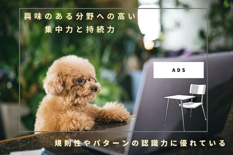 1. 興味のある分野への高い集中力と持続力