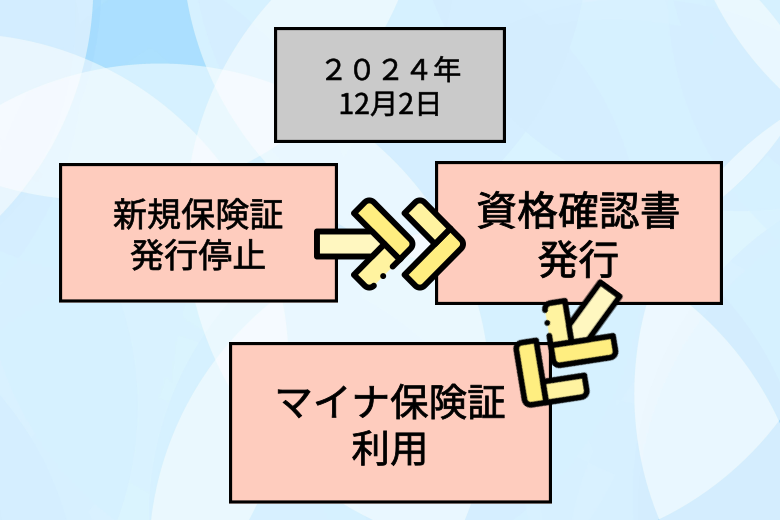 具体的な変更点（2024年12月以降）