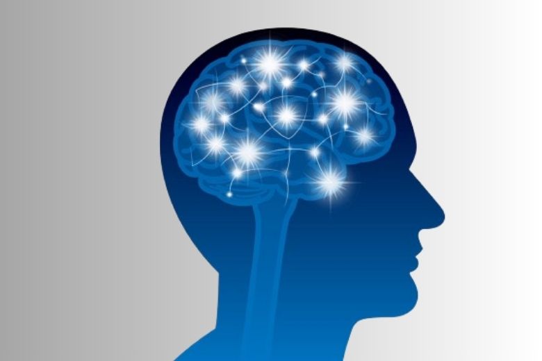 1. デフォルトモードネットワーク（DMN）