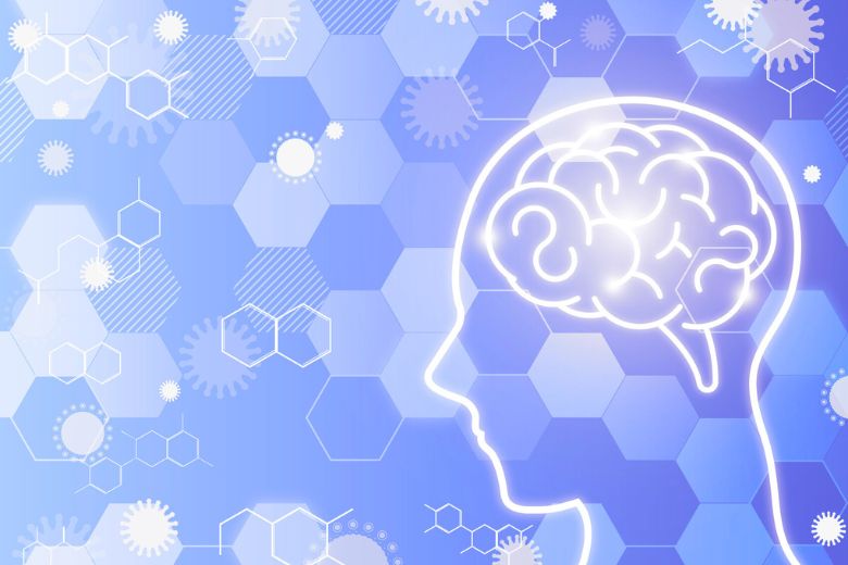 三大ネットワーク研究の進展と未来