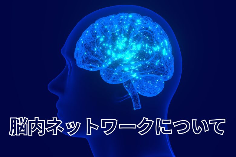 脳内ネットワークについて