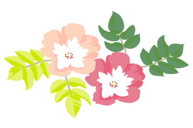 まとめ：毎日5分で話し方に自信が持てる