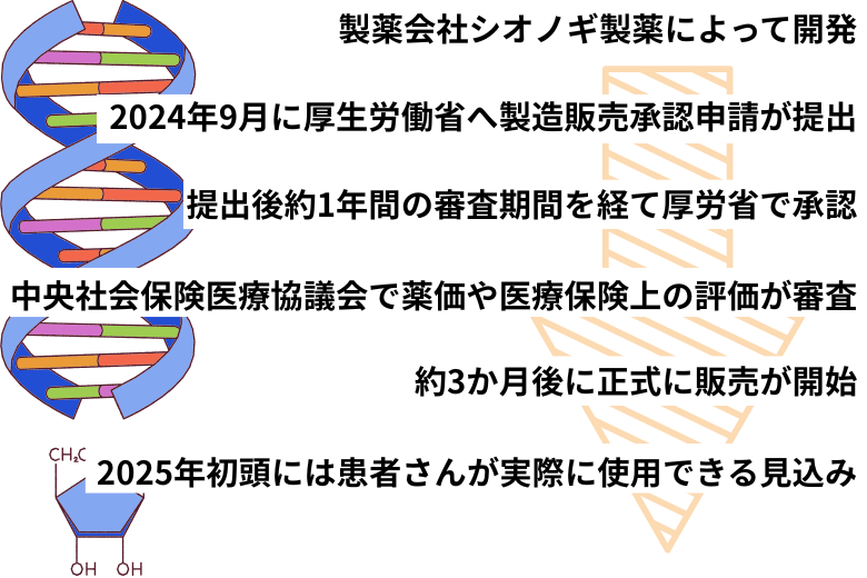 ズラノロンの承認プロセス