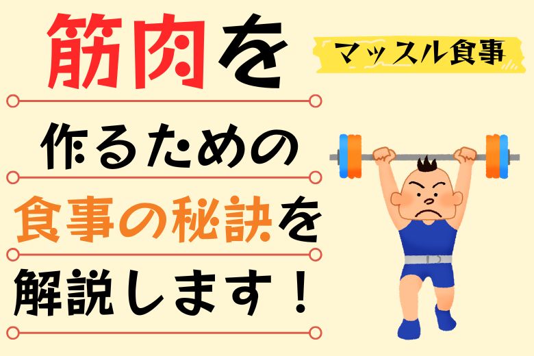 【マッスル食事】筋肉を作るための食事の秘訣を解説します！