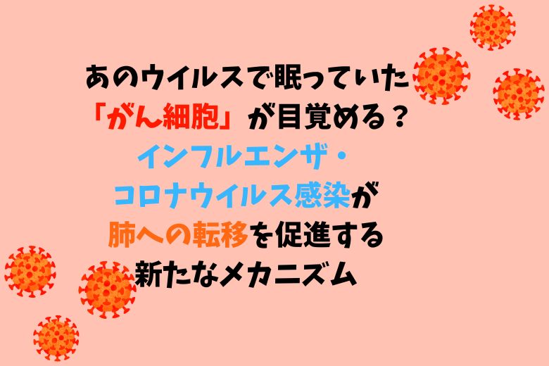 あのウイルスで眠っていた「がん細胞」が目覚める？インフルエンザ・コロナウイルス感染が肺への転移を促進する新たなメカニズム
