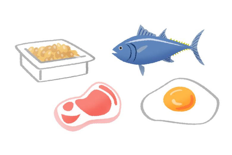 マッスル食事 ― 筋肉を作るために必要な食事の基本