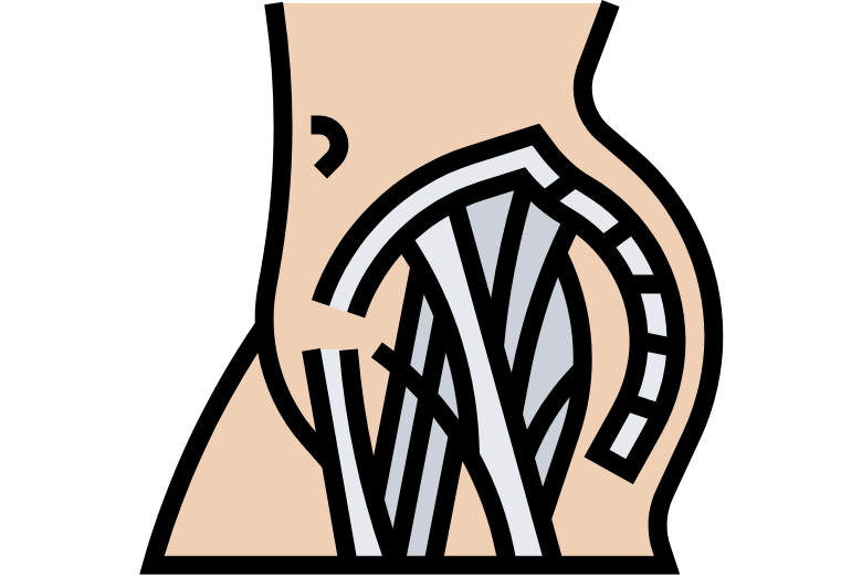 2. 大殿筋 ― お尻最大の筋肉とその機能