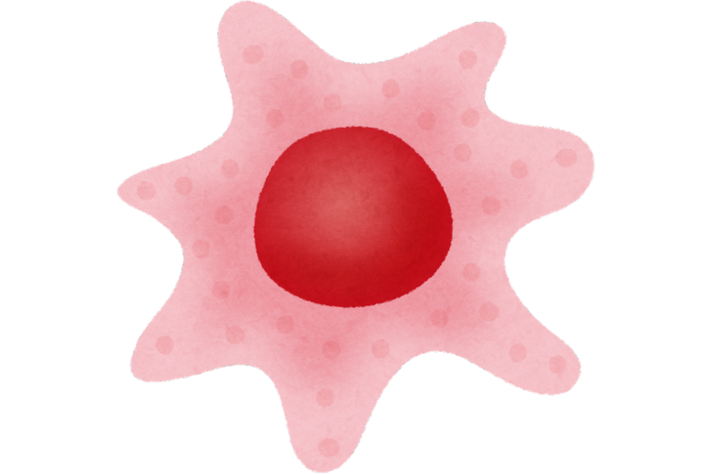 NK細胞の数は減ったのか？