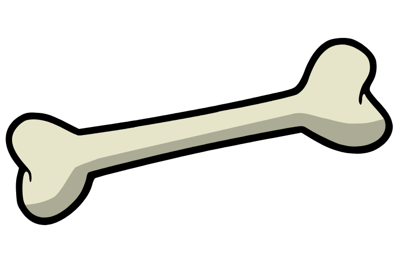 骨の成長には2つの方向がある