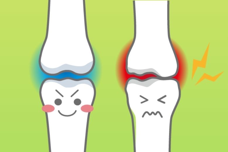 軟骨全体に共通する特徴