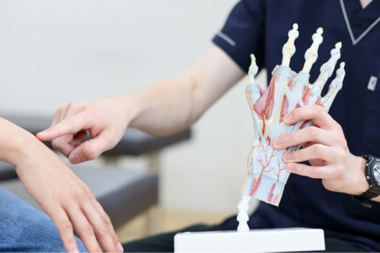 骨の構造が生み出す自由度