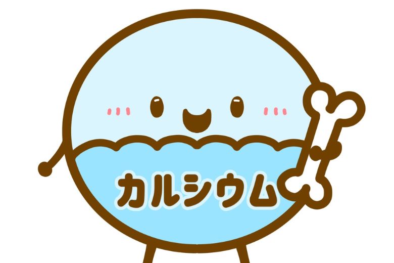 ビタミンDの基本的な作用