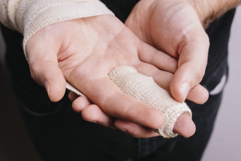 手と親指の構造について