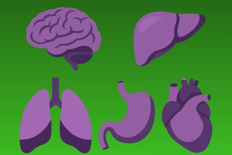 2. がん転移増大による臓器不全