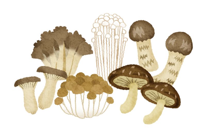 がんのリスクを下げる食べもの総まとめ