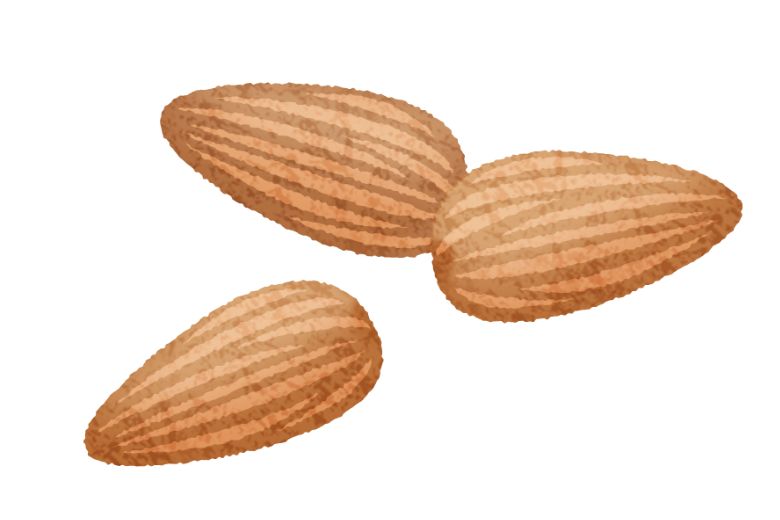 ナッツに含まれる栄養成分と健康効果