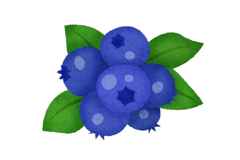 【がん専門医おすすめ】健康長寿を支えるヨーグルトのトッピング5選