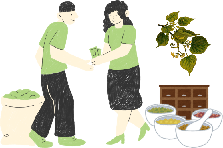 1．漢方薬「当帰芍薬散」とは