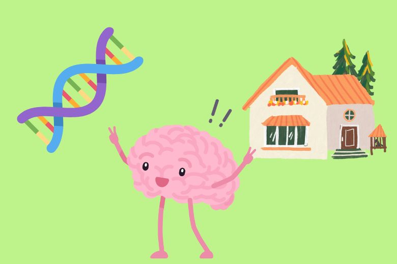 3. 背景にある原因──遺伝・脳・環境