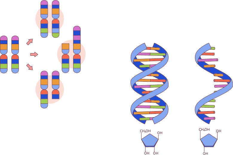 ゲノム異常についての3つの疑問