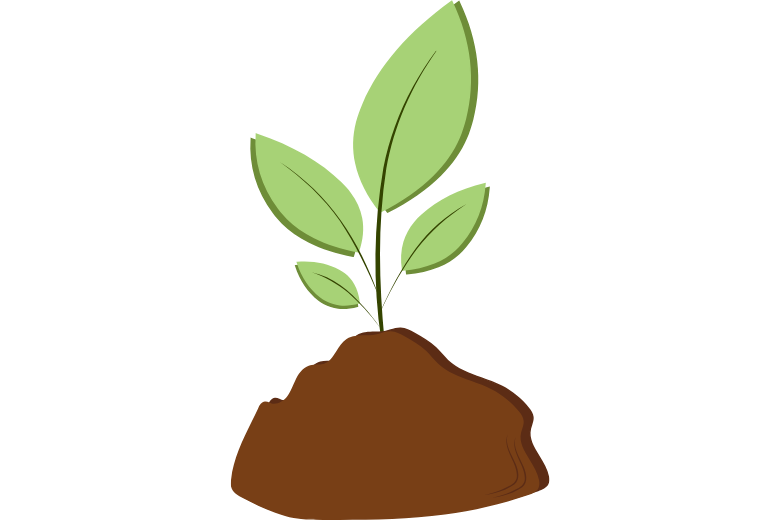 ■ これからの展望