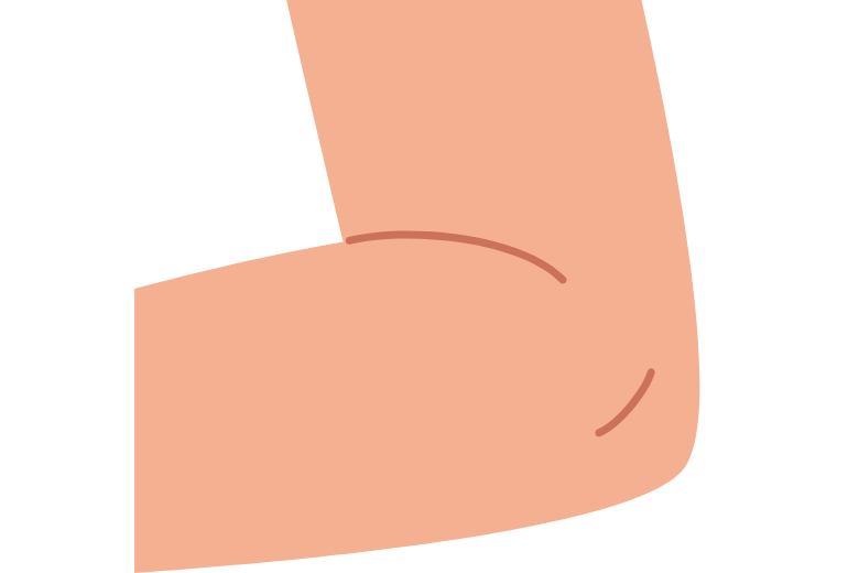 肘と前腕の動き