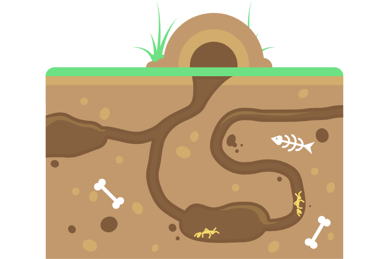 「トンネル」のような神経の通り道