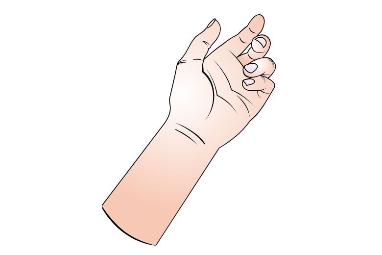 手のひらが回るのは「前腕」が動くから