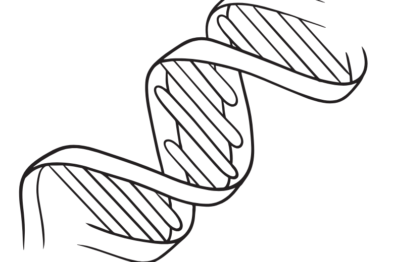 リキッドバイオプシーで注目されている4つの情報