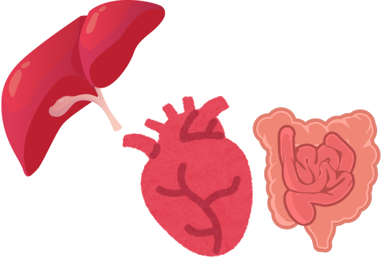 遺伝性のがんから見る臓器の違い