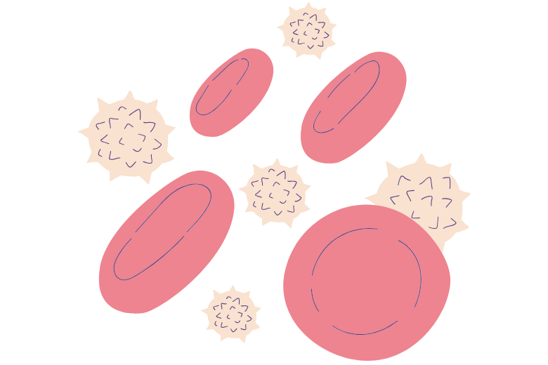 ストレスホルモンががん細胞を活発にする？